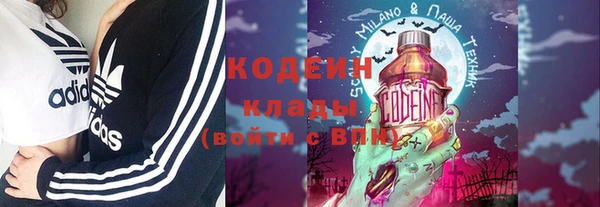 крисы Бронницы