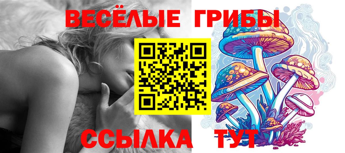 хочу наркоту  Псилоцибиновые грибы MAGIC MUSHROOMS  Вход с VPN  Чита  Галлюциногенные грибы мицелий 