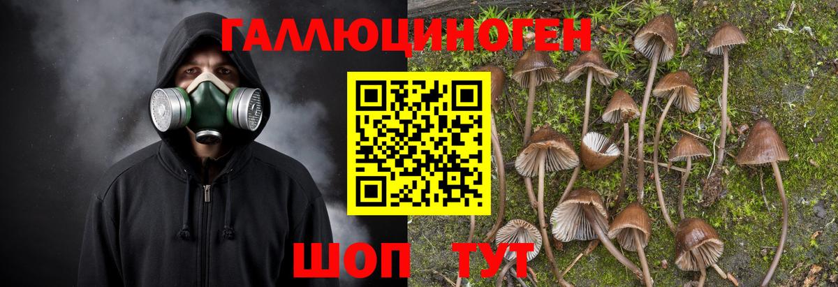 Псилоцибиновые грибы мухоморы Чита